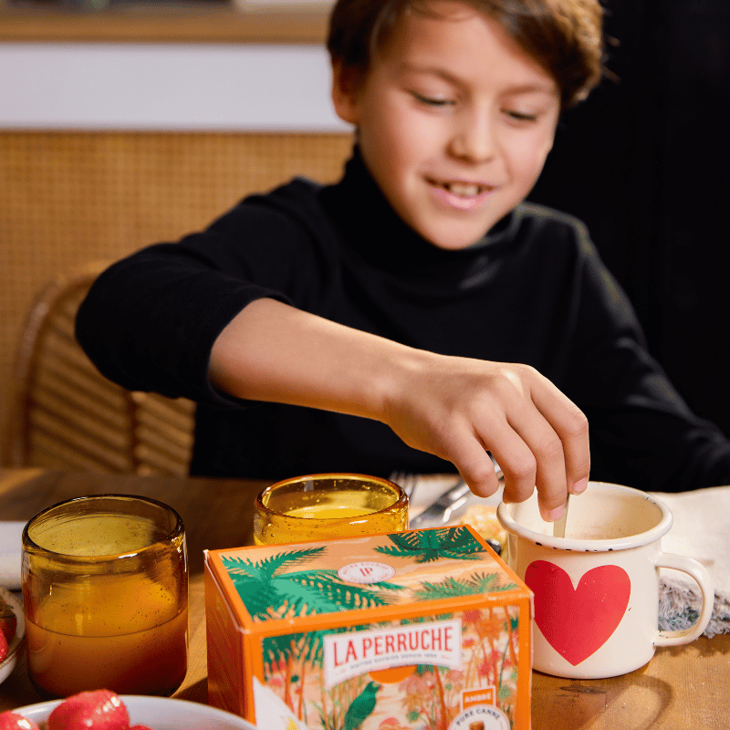 IRREGULIERS-LA-PERRUCHE