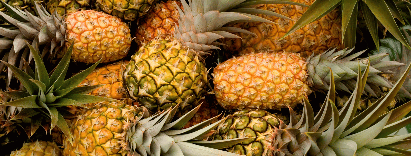 RECETTE MOCKTAIL ANANAS - LA PERRUCHE