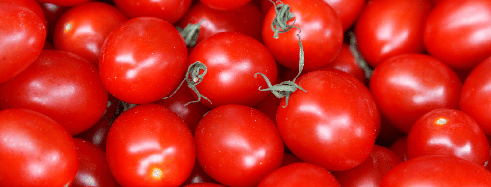 TARTE TATIN TOMATES BURRATA - LA PERRUCHE