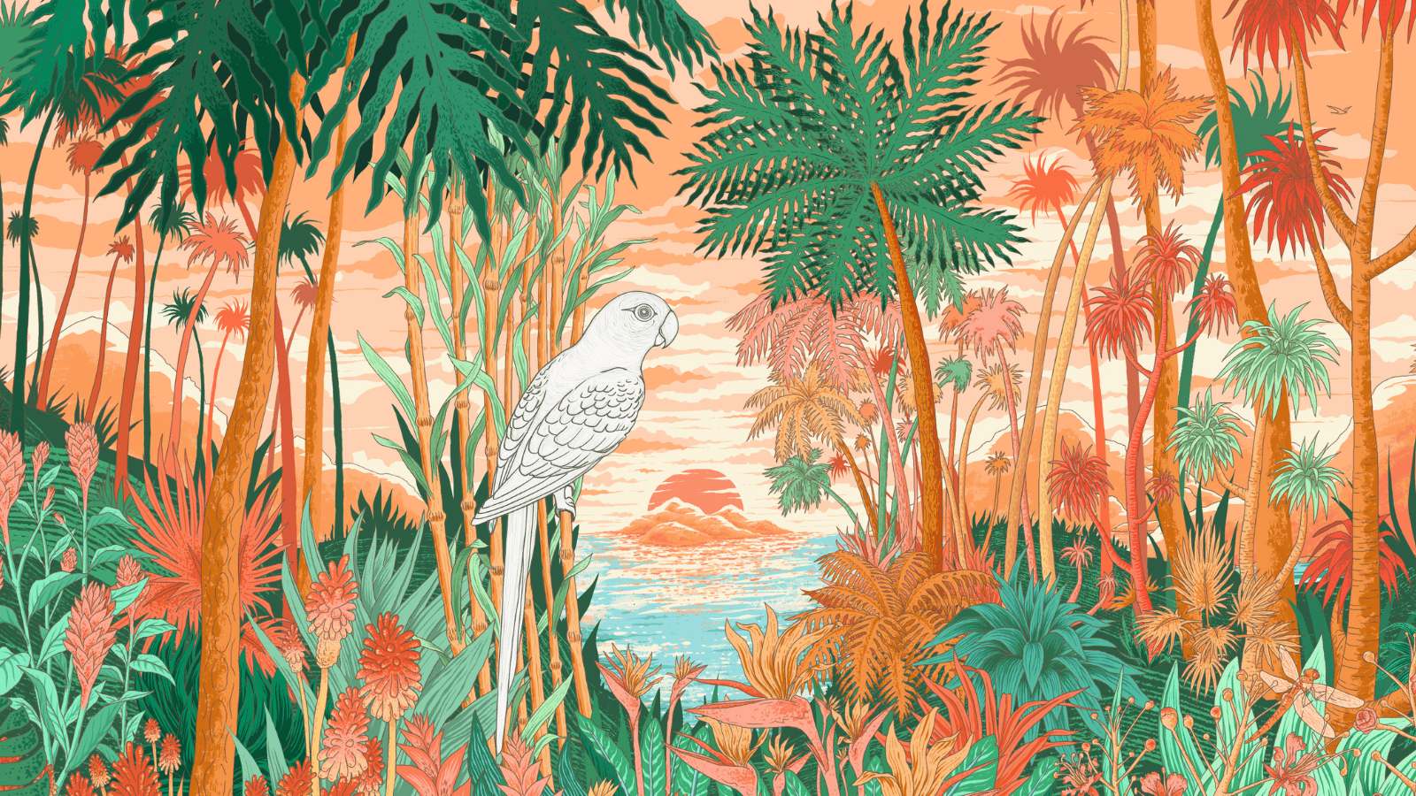 COLORIE LA PERRUCHE JEUX CONCOURS