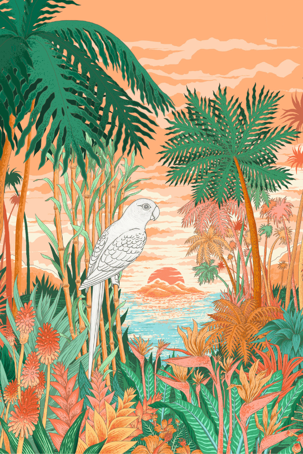 COLORIE LA PERRUCHE JEUX CONCOURS