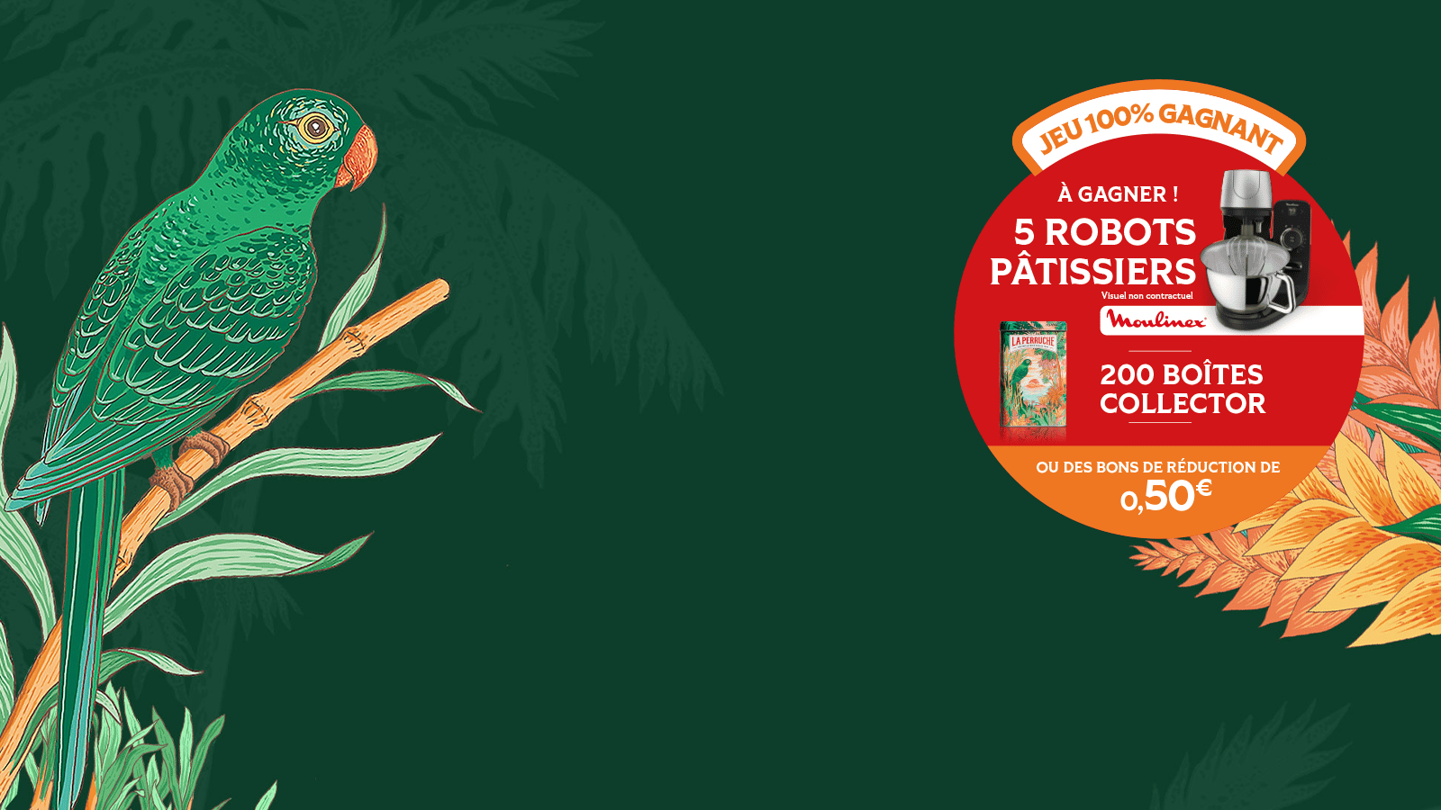 TF MAGASIN LA PERRUCHE MARS 2026